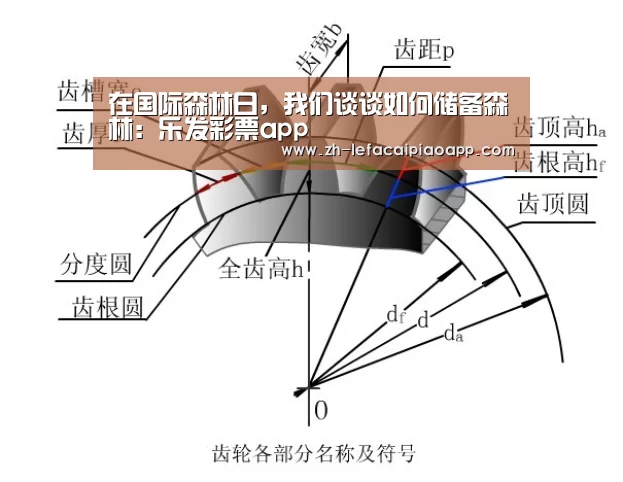 在国际森林日,我们谈谈如何储备森林:乐发彩票app(图3) 乐发彩票app