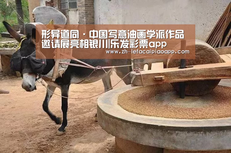 乐发彩票app